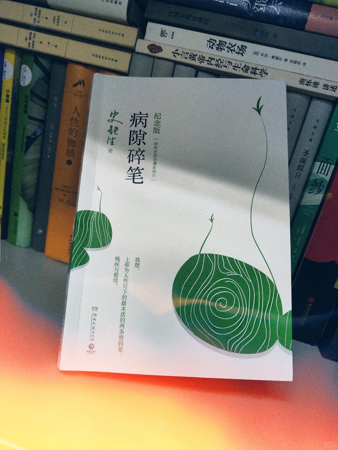 第434本：瘫痪后铁生笔下那些好痛的文字❗