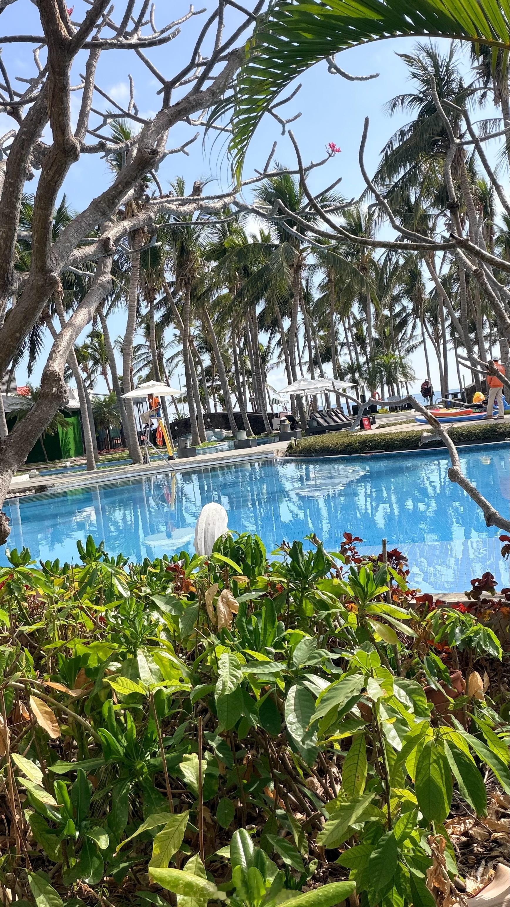 别找我；我正在养眼睛👀.. 