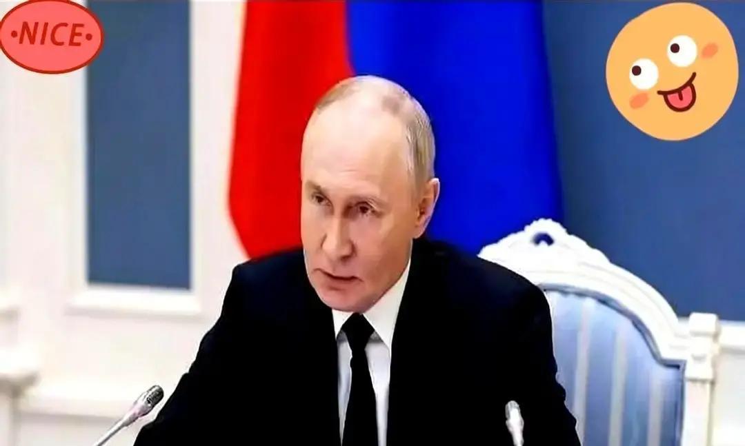 他听完那句威胁式的话，心里直犯冷。
 
普京平静地说，如果欧洲真要动手，将来可能