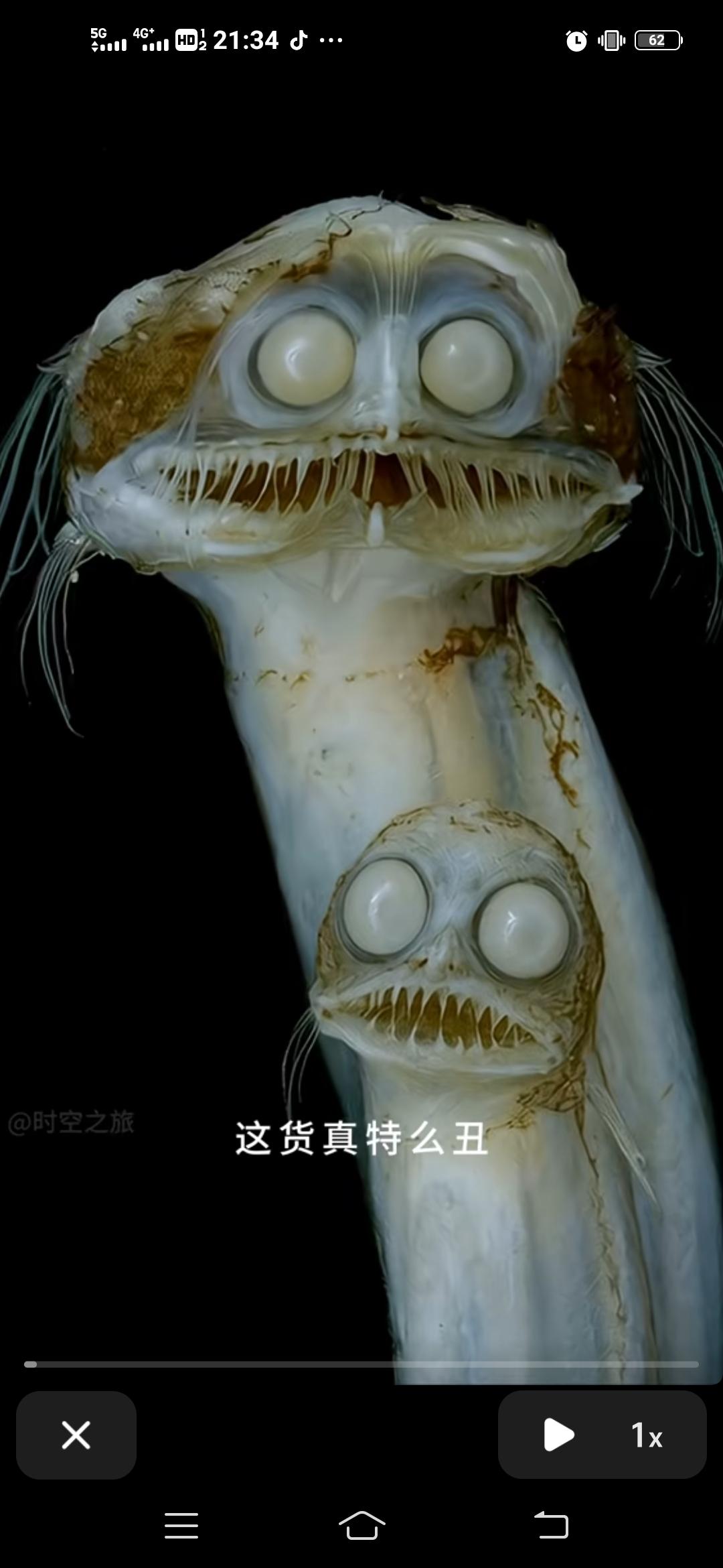 拉布布是来自这个丑玩意儿吧！
以后还能直视拉布布吗，解决了海里没有鬼的问题，鬼全