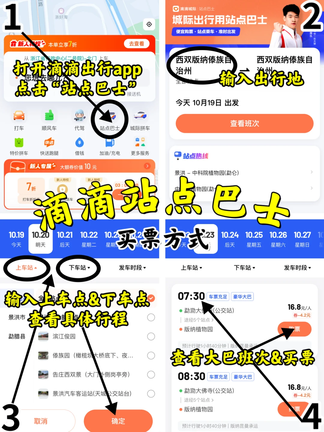 一图看懂👉西双版纳乘巴士一日游路线✅
