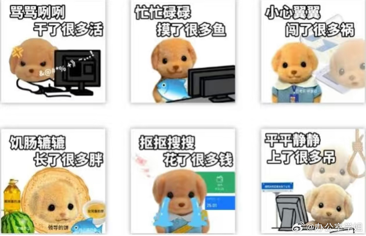 来个人把监控拆了  啊？到底是谁说我的生活没有观众的，我看我身边没少监控啊[泪]