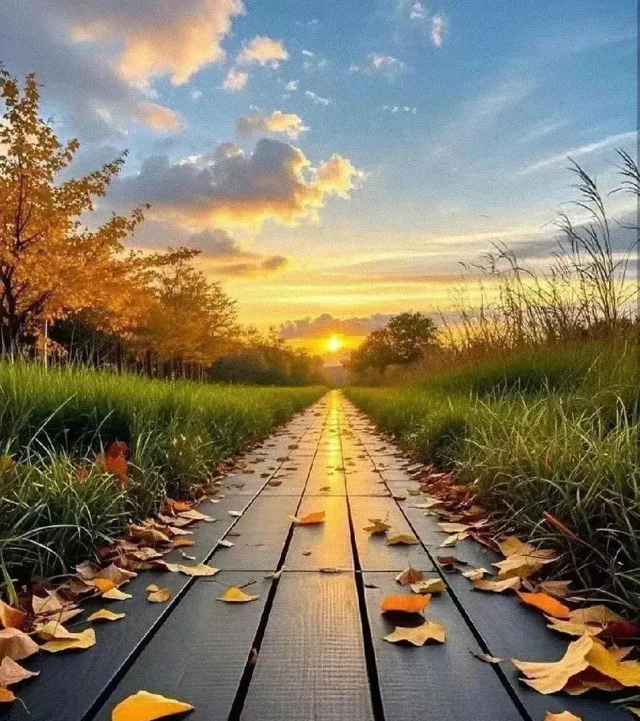 “识人”

突然成了热搜关键词。

我凌晨刷手机，看到清华心理系发了份白皮书，说