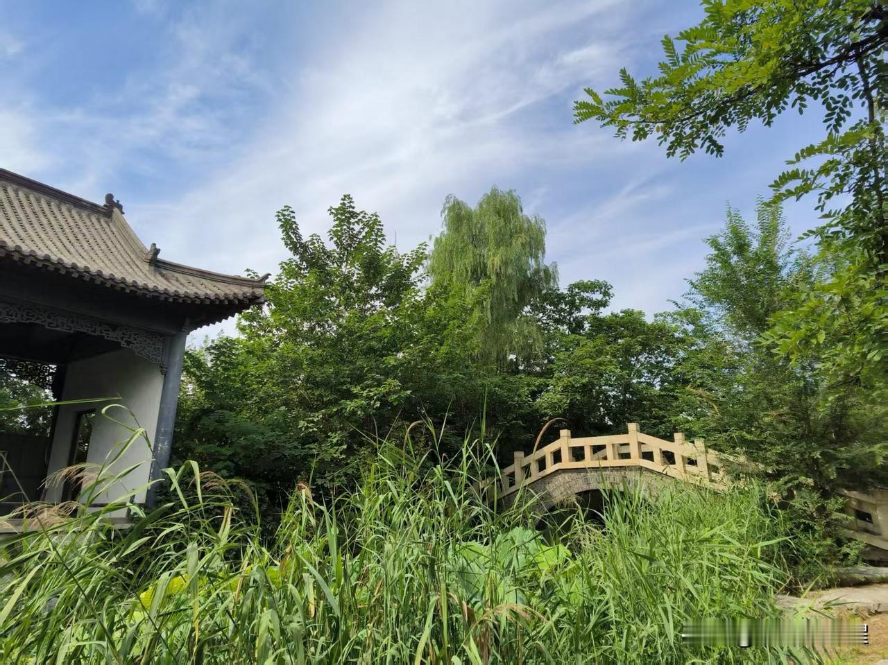有些日子没去西沽公园了，来西沽公园必去黄叶村。
秋日里的黄叶村，生机盎然，幽静景
