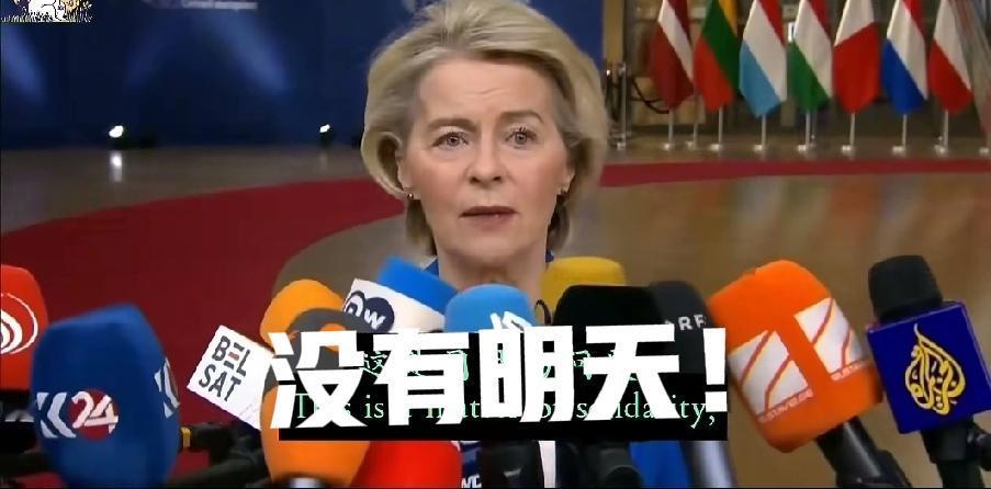 900亿欧元，要打水漂！
冯德莱恩说：“计划在2026年2027年要给乌克兰援助