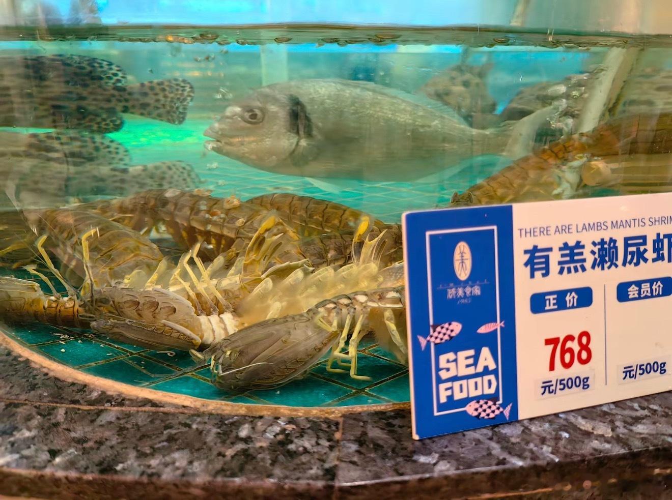 4只皮皮虾1035元店主事发次日病逝买回来家里吃，一只都要270！明码标价，吃完
