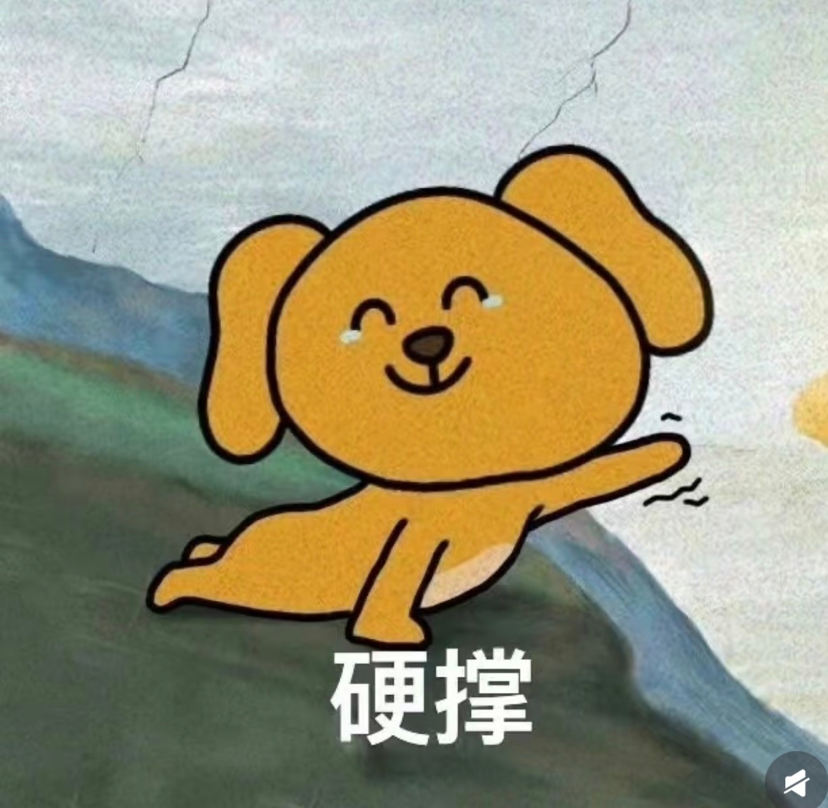 把头发梳起来大大方方的谁懂发际线没头发的痛，不敢梳起来害怕发际线继续往后移[捂嘴