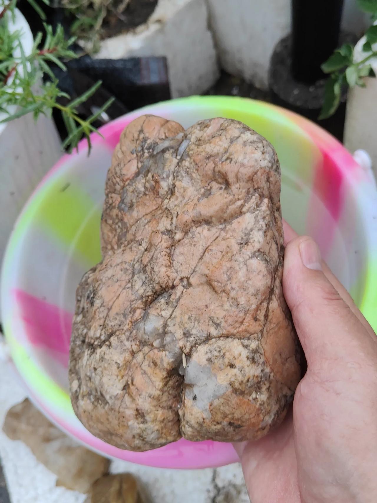 初夏五月喜雨降，春天干旱人忧愁，嘉禾盼雨大地盼，昨夜雨滴下又停，今天傍晚下班时，