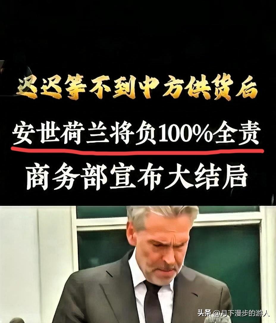 就在刚刚！
事件的导火索是11月5日晚，闻泰科技的第二大股东无锡国联集成电路投资