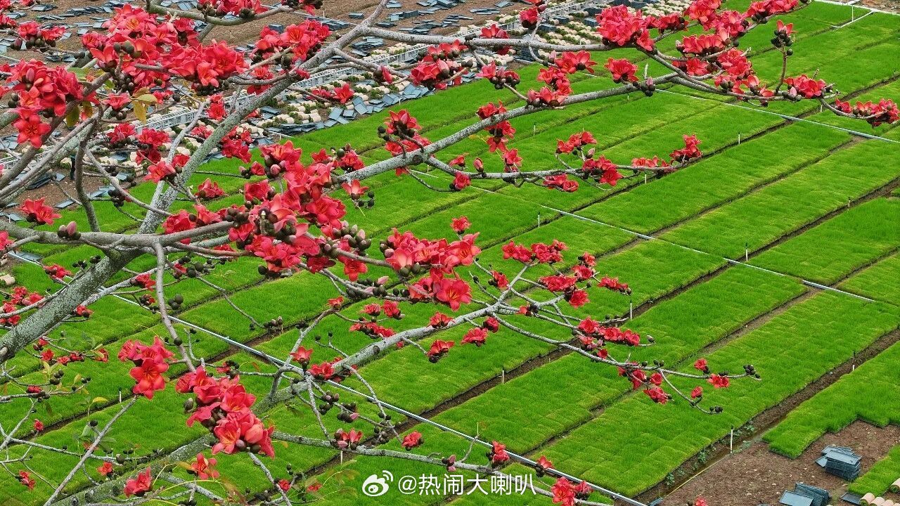 春分今日春分遇上龙抬头，是难得一遇的节气与民俗巧合，双重吉意叠加，这种下一次要到