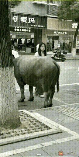 好的，根据您的要求，我将为您提供几个不同风格的改写方案，都力求在保留原意（一个人