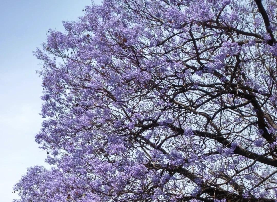 【百事从心起，一笑解千愁，心态好，一切都好；知足者常乐看开者无忧，无法重来的一生