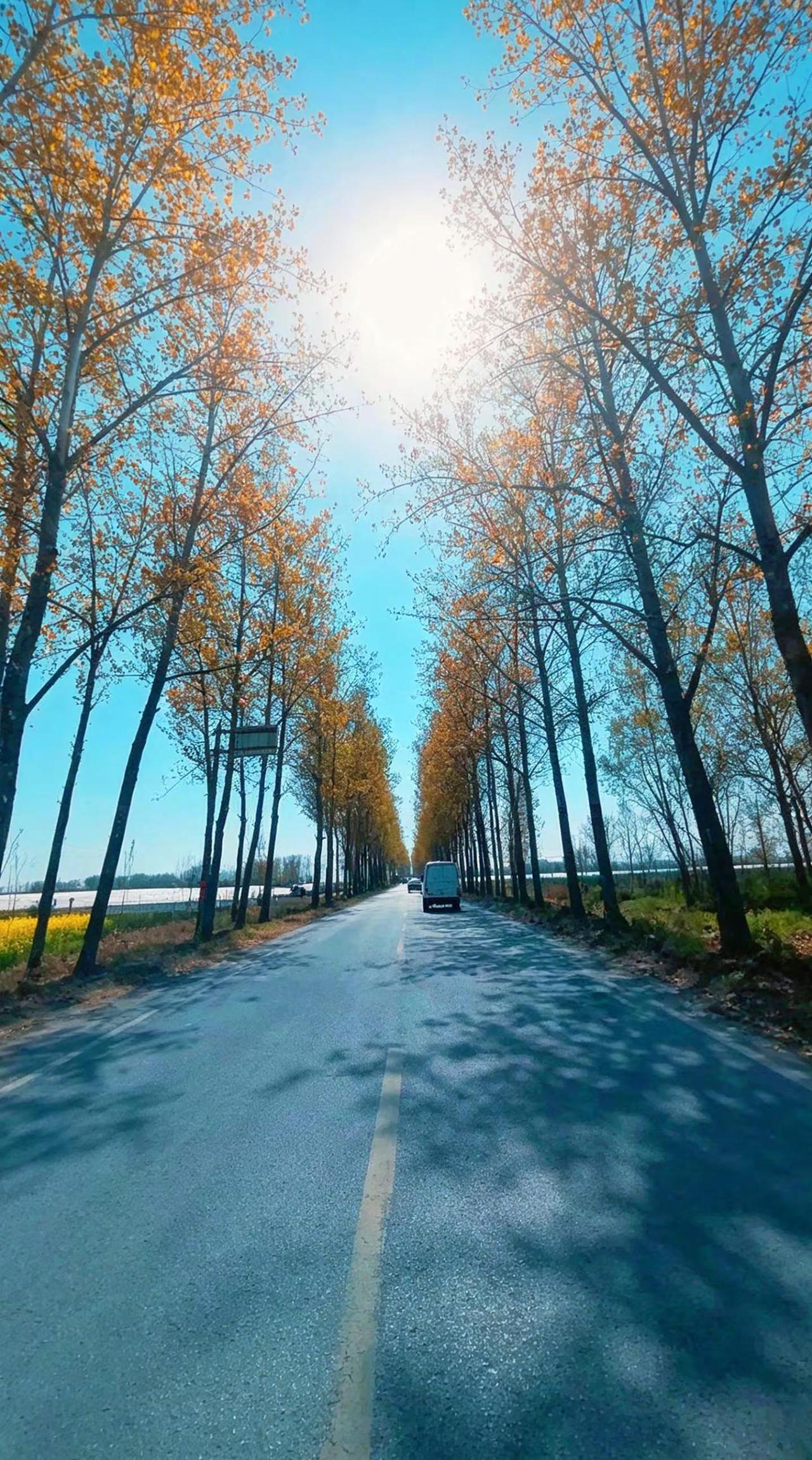 治愈系公路