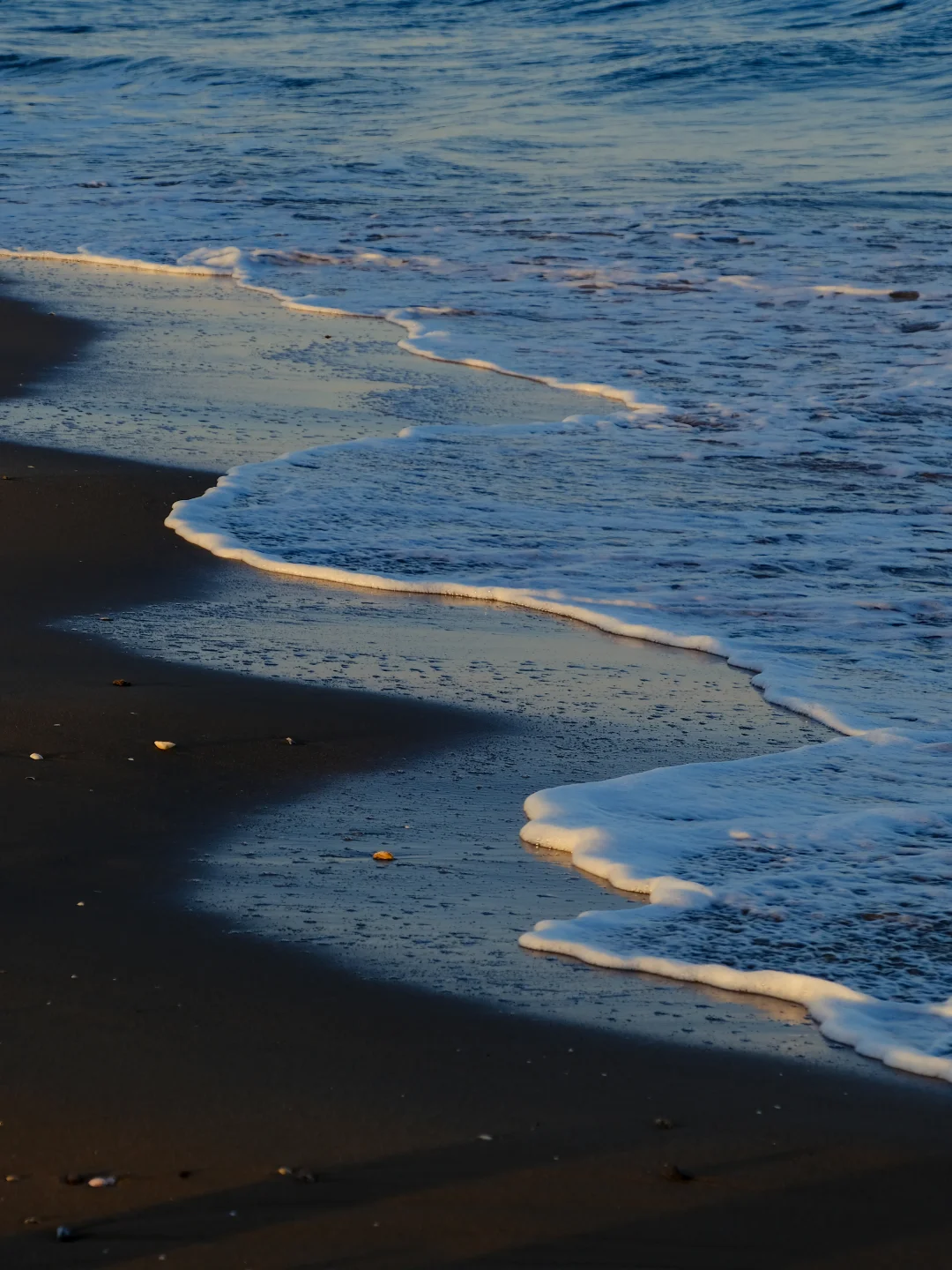 The summer sea.