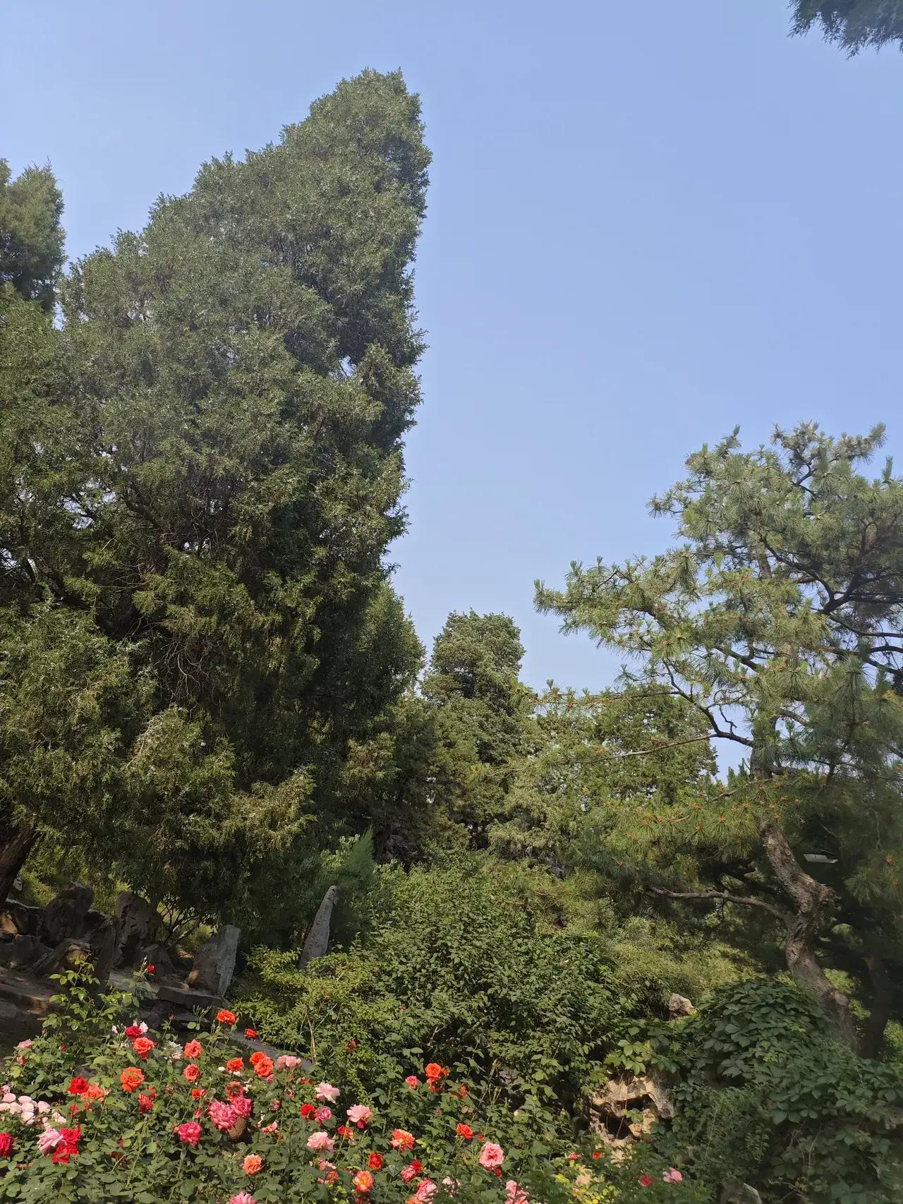 当一个人把金钱看得无比重要之时，也容易忽视了健康的重要性，也容易突发疾病，可是有
