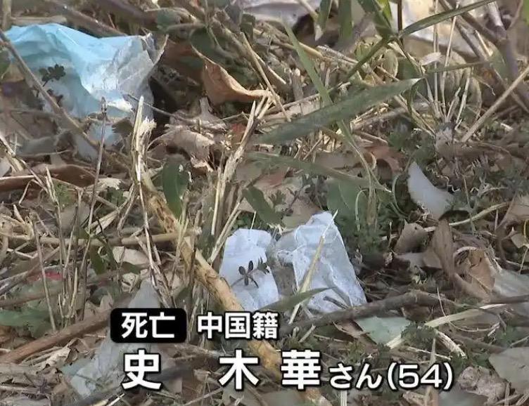 日本山林惊现一具中国女性的遗体，而当地的帽子叔叔初步认定为他杀！那背后的凶手到底