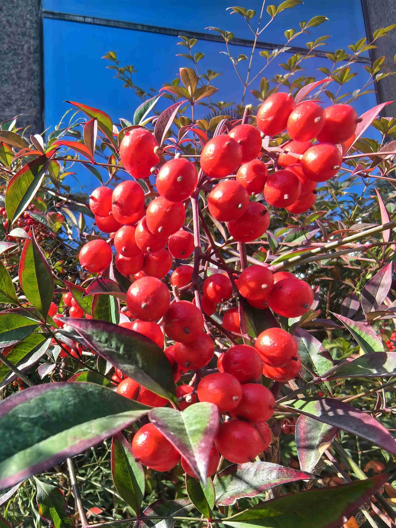 我的今日状态：😁轻松愉快
我这里的天气：☀️晴天
回到母校参加培训，格外的感觉