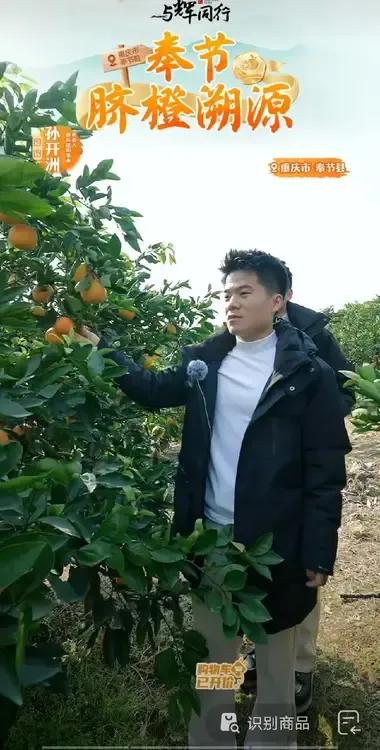 看董宇辉摘橙子真是过瘾，现摘现吃太羡慕了！


宇辉还真是个大聪明，不仅懂诗词歌