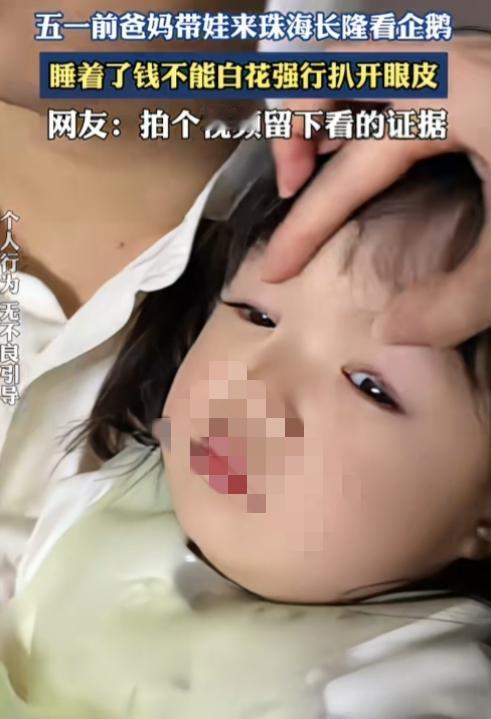 2岁的娃，有没有必要带她去旅游？

广东，一爸妈带着2岁的女儿来珠海长隆看企鹅，