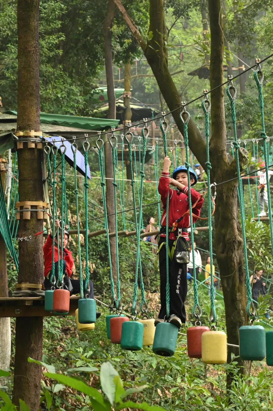 🎢飞越丛林探险，一场与大自然的勇敢对话