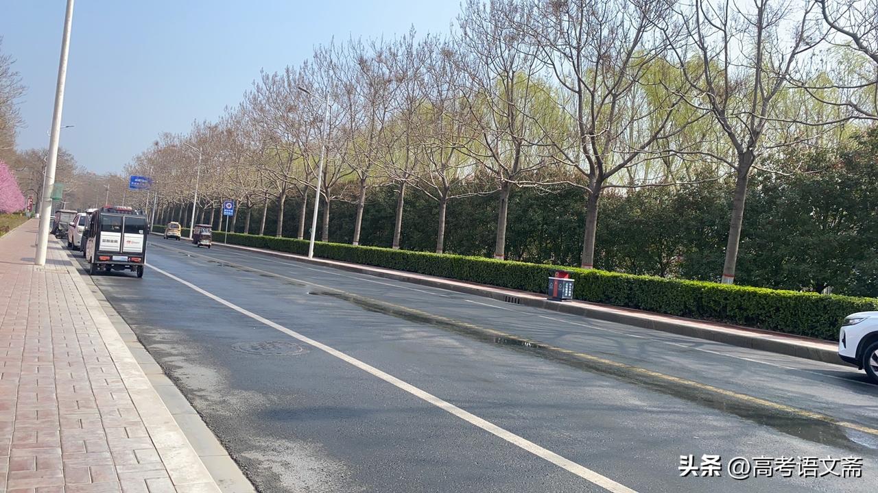 晒图笔记大赛城市绿道，静谧骑行，享受自然之美。