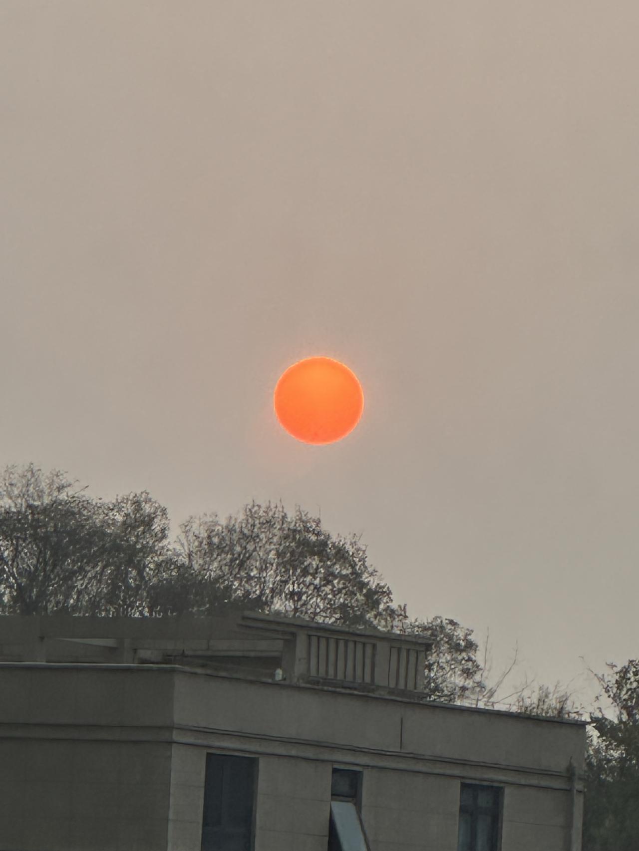 晨日寄怀

晨起推窗，一轮红日正缓缓攀升。那圆润的轮廓，似被朝霞精心雕琢，橙红的