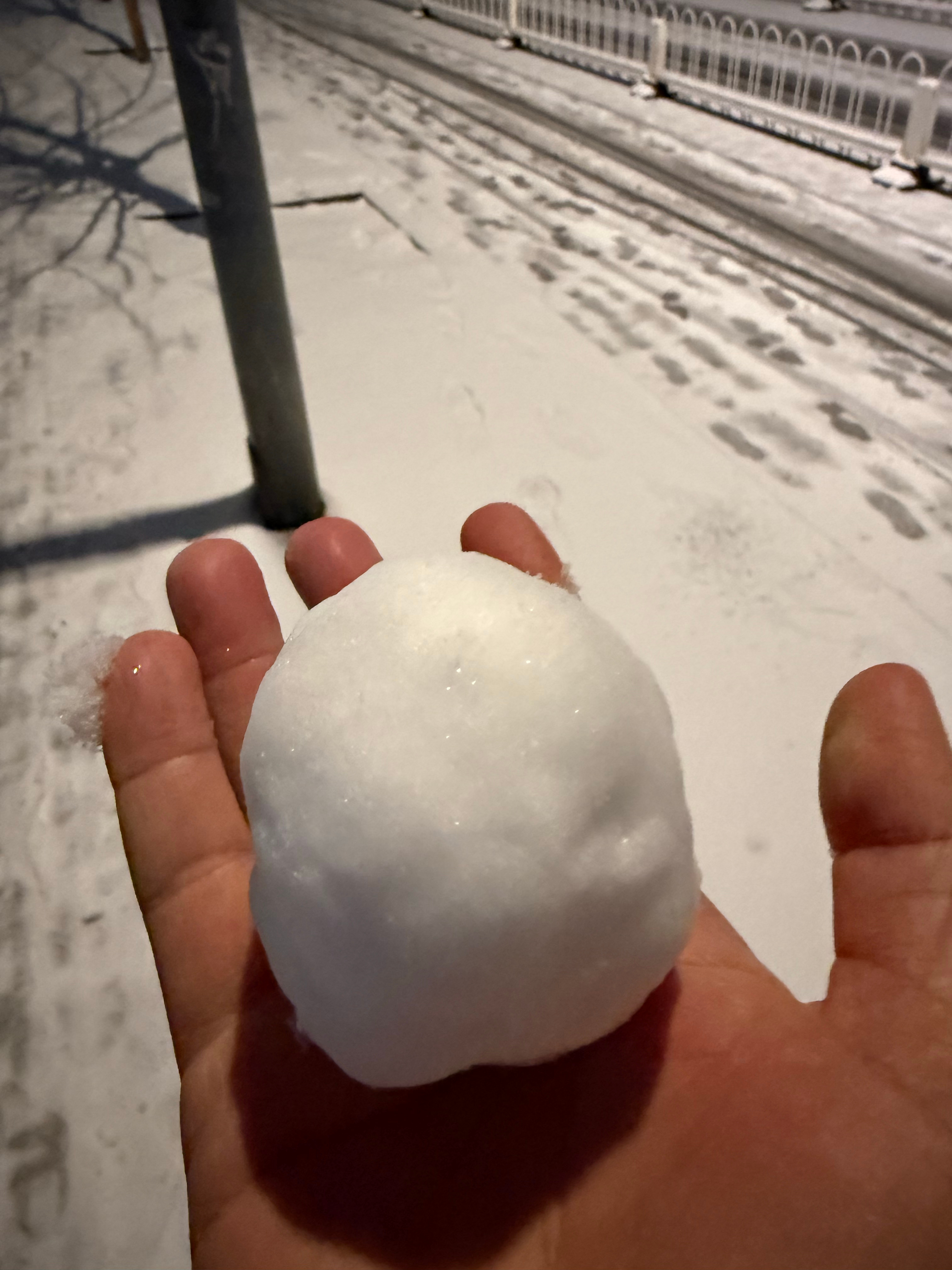 任嘉伦  任嘉伦新专辑37单枪匹马 任嘉伦新歌贝壳沙 北京今天这个雪量可以打雪仗