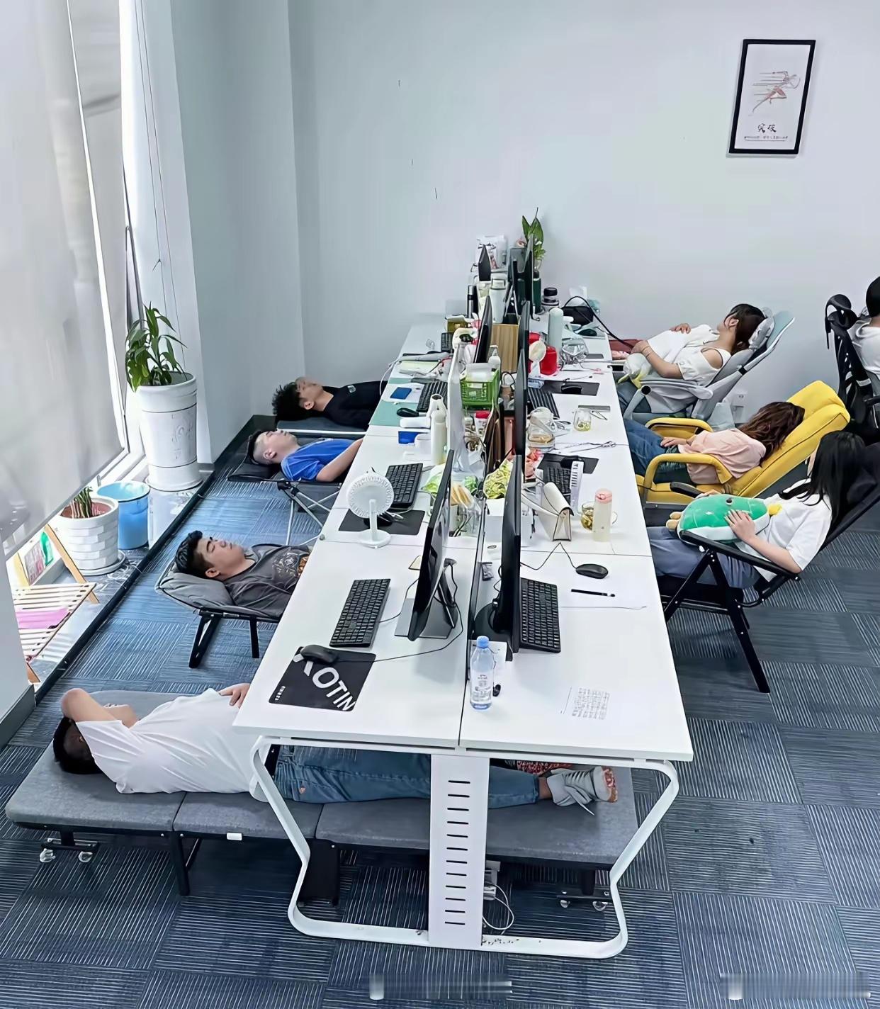 网友：在公司，大家都这样午休，见怪不怪！ ​​​