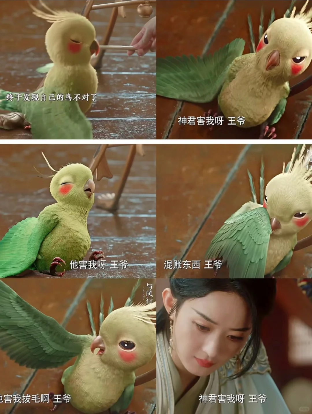 行止和沈璃成婚后第一件事就是把嘘嘘卖了？？