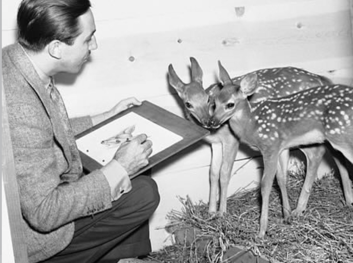 【来自投稿】1942年 迪斯尼公司的画家们创作《小鹿斑比》 