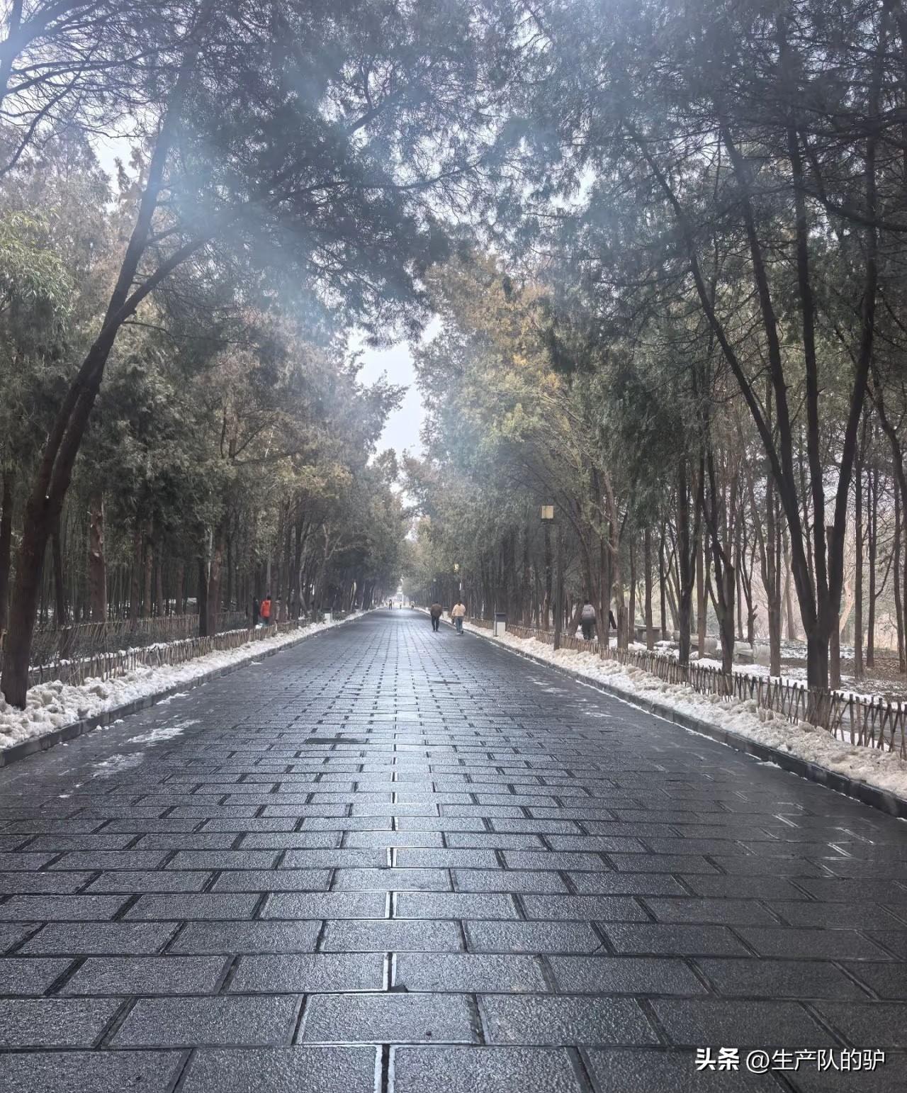 少林寺的入口是真的远，得走好久才能进到核心区域。寺里的面积不算大，其实没必要花钱