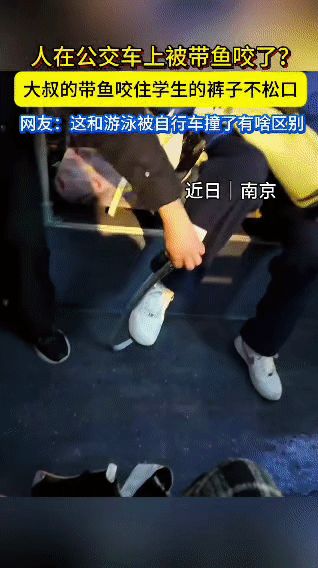 南京公交上的这幕离谱名场面，直接笑翻全车人！一位大叔拎着刚买的带鱼挤公交，车厢一
