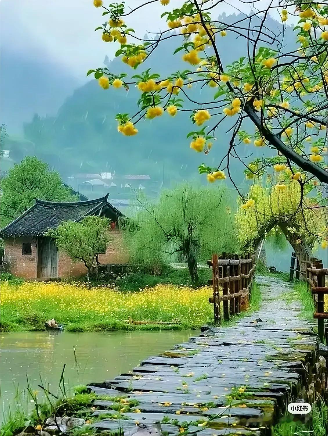 多美的风景，还能回得去吗？

（网图侵删）