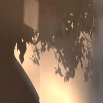 阳光信用‎阳光‎信用 ‎每日一善 梦有多燃，就能飞得多远。时时有所创造、事事有所