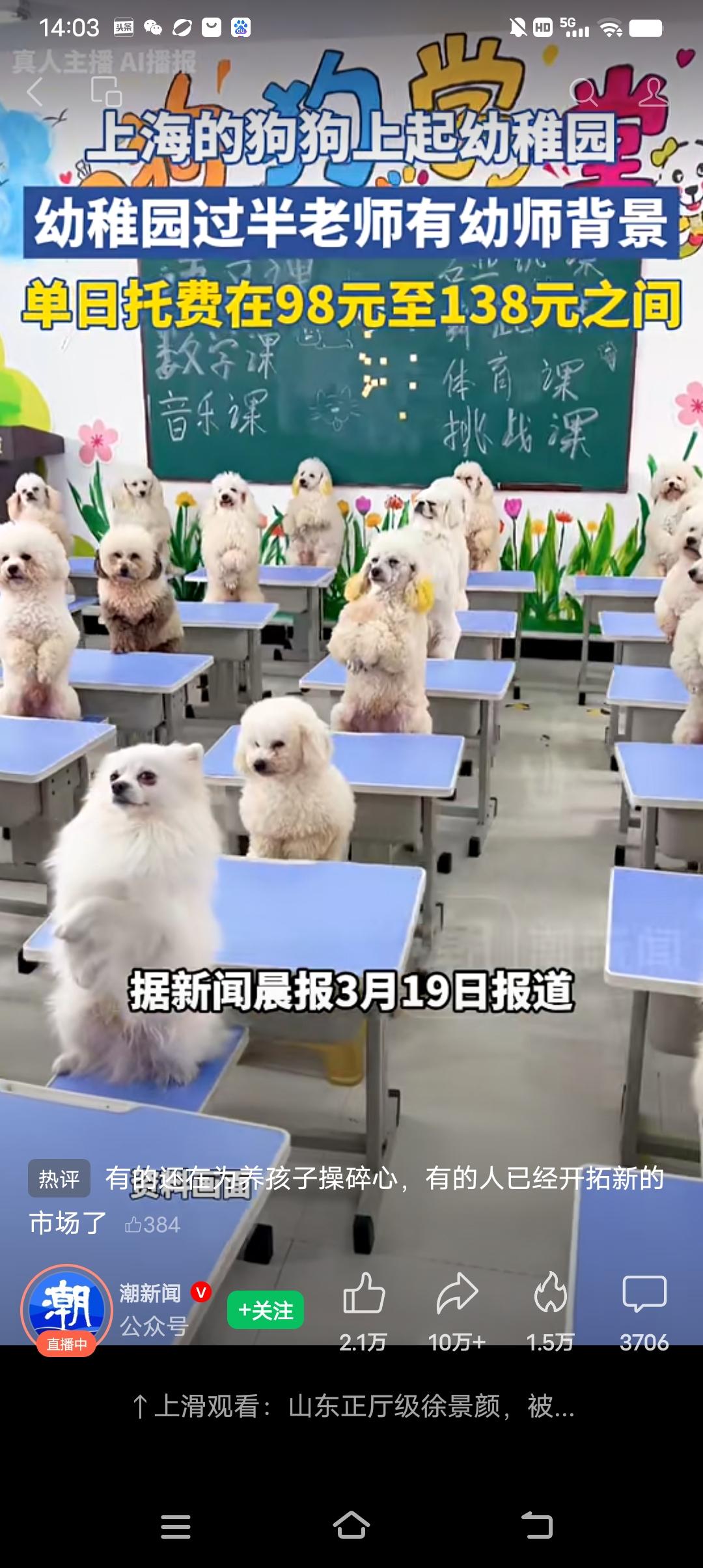 上海为狗狗开设的幼稚园来了，单日托费在98~138元之间。由此可见，宠物经济真的