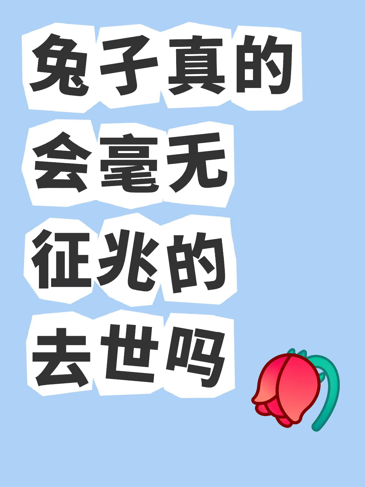 兔子真的会毫无征兆的去世吗