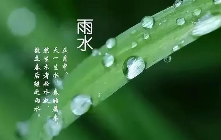 七绝.雨水

小雨如酥应节来，
柔柔洒洒落窗台。
天生此物当春发，
一卷山河画渐