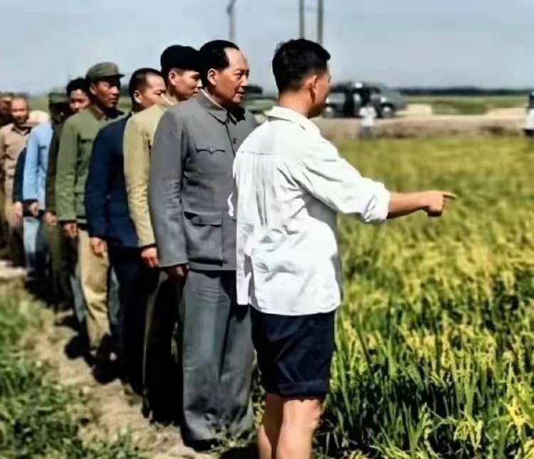 大海航行靠舵手，
鸿谋远见耀八方。
万民永伴引航人，
神州奋进谱新章。
征途踏浪
