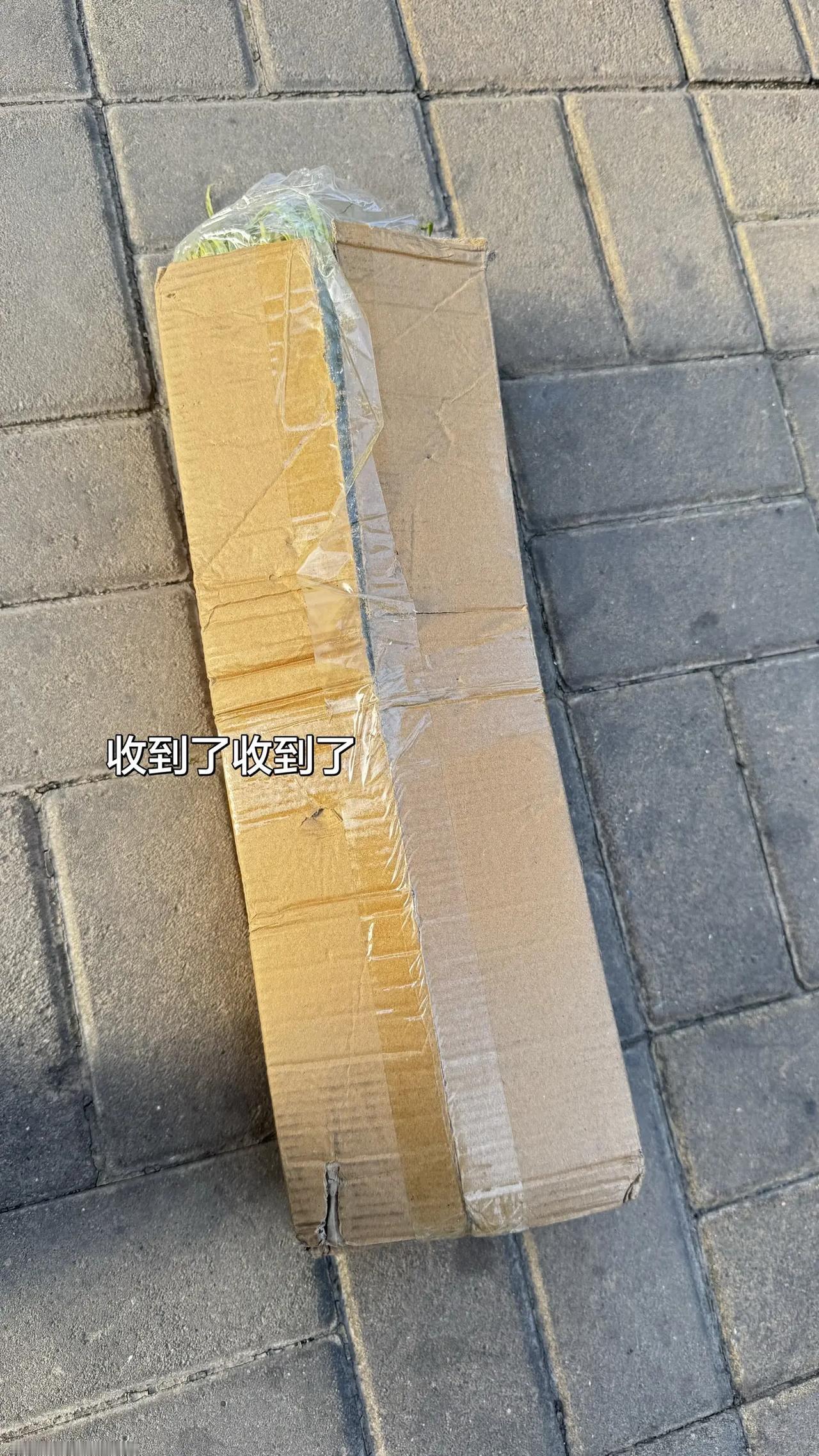 5斤蒜苔真的好划算啊！收到的时候还是超嫩超新鲜，爱吃蒜苔的一定要趁现在吃个够蒜苔