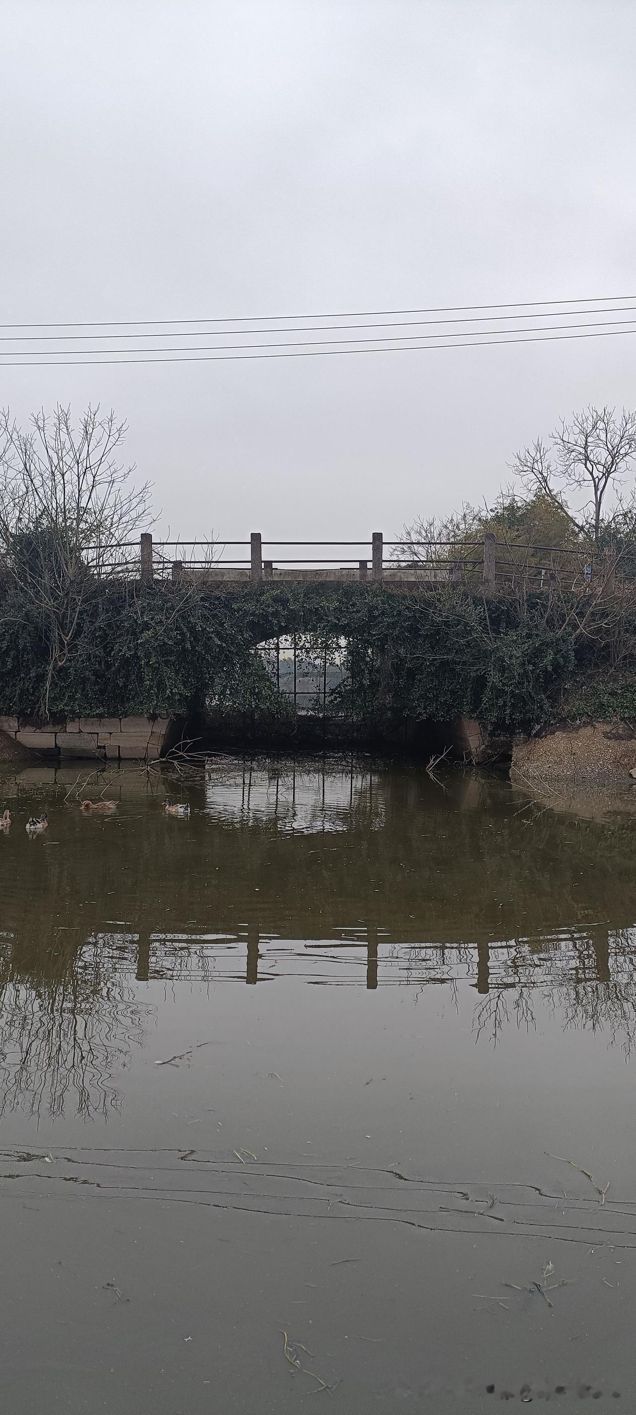 今年春天最想实现的心愿平安喜乐，四季无忧！