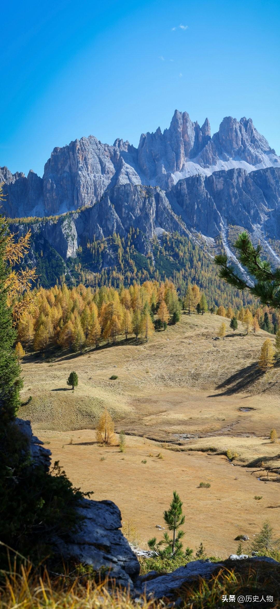 司马懿发动高平陵之变，核心是权力被曹爽彻底架空后的自保与夺权，由多重矛盾叠加促成