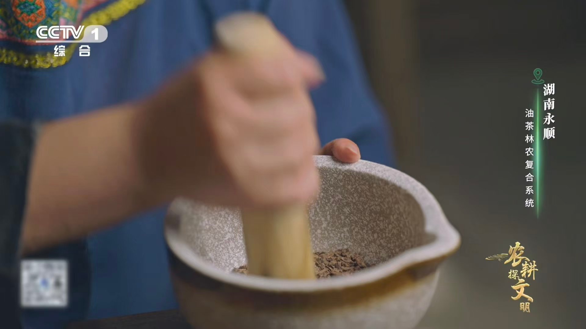 油茶榨干成了洗头神器 榨油机轰鸣过后，茶枯在竹篓里静默修行。当热水唤醒沉睡的茶皂