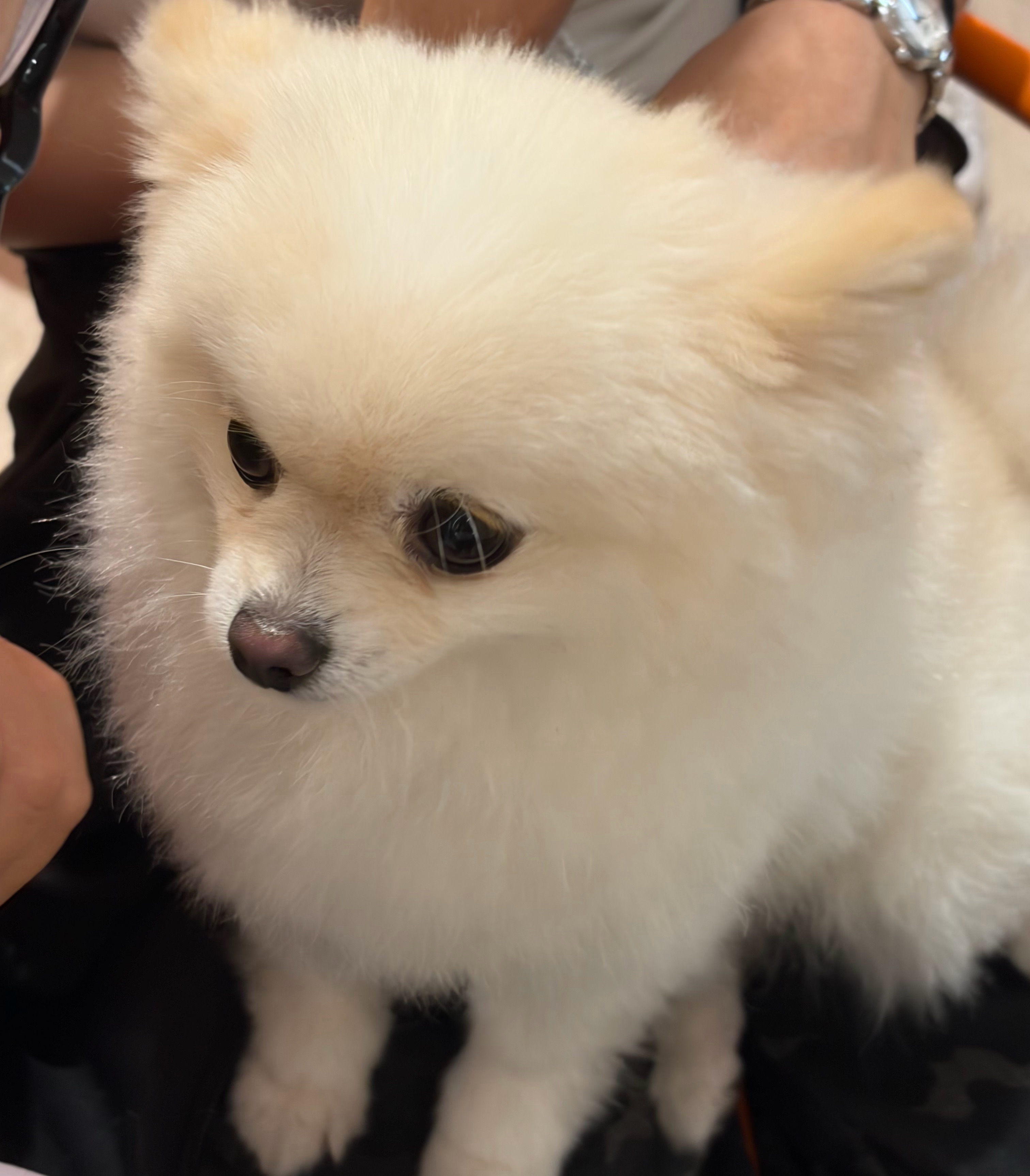 派派！！！！！！！！！！ 