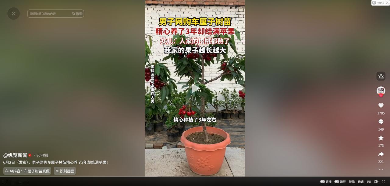 “这是老天爷给的盲盒”！6月3日纵览新闻报道，河南一名男子在网上买了一棵车厘子树