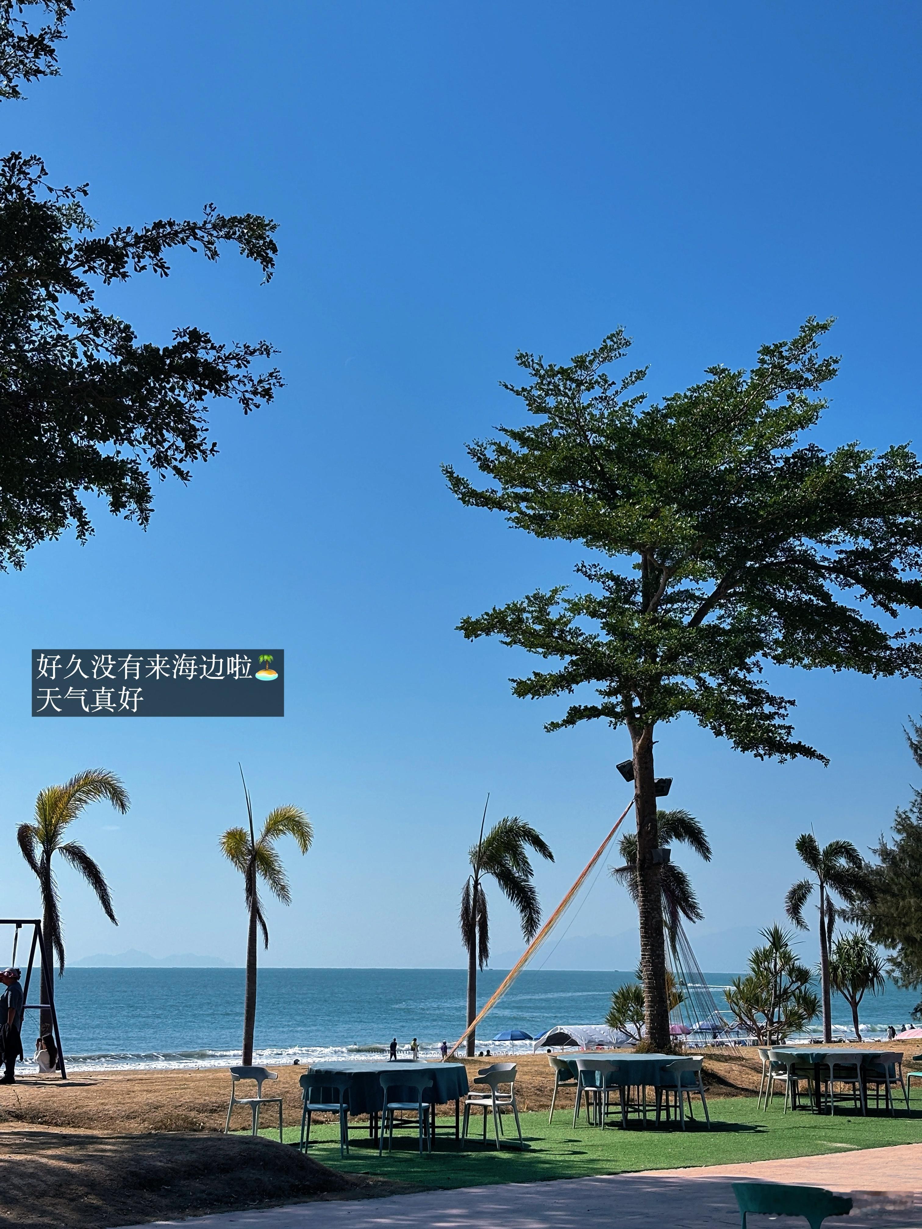 ミ⁰̷̴͈  。⁰̷̴͈ ミ₊˚🐆🎀₊⁺/一些上山入海的日子实测在靠近高质量