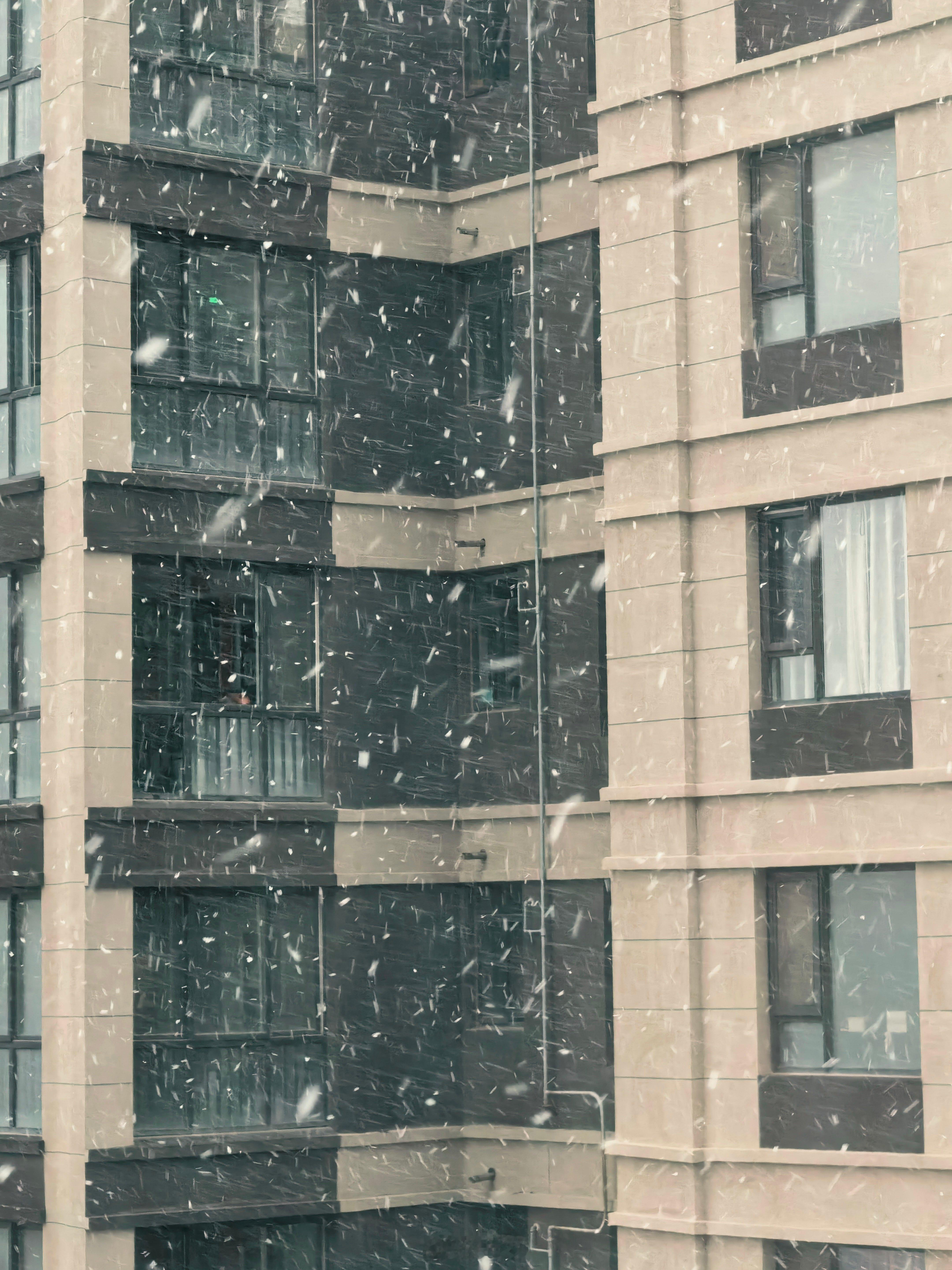 西安下雪在2025的最后一天，西安下雪了，虽然目前没有落住，但是也让人充满了期待