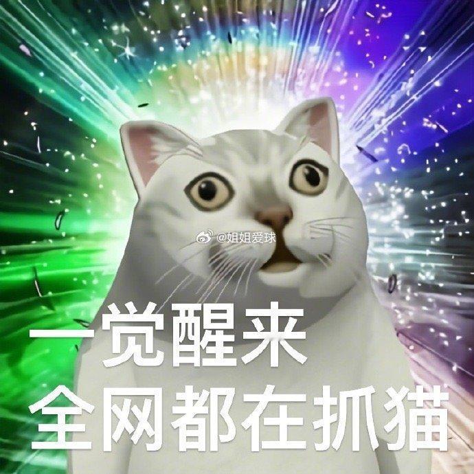 #抓猫猫运动员# 如火如荼正在进行！今晚最主要的任务是什么？一边看全红婵表演水花