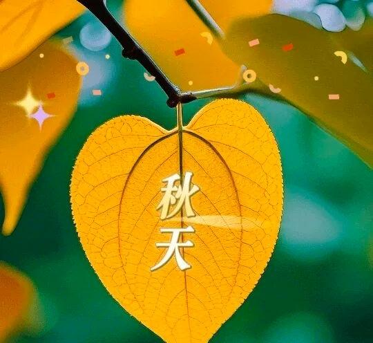 明天就是老公的生日啦～[蛋糕]

已经退休四年的老公目前在家，

大部分时间都在