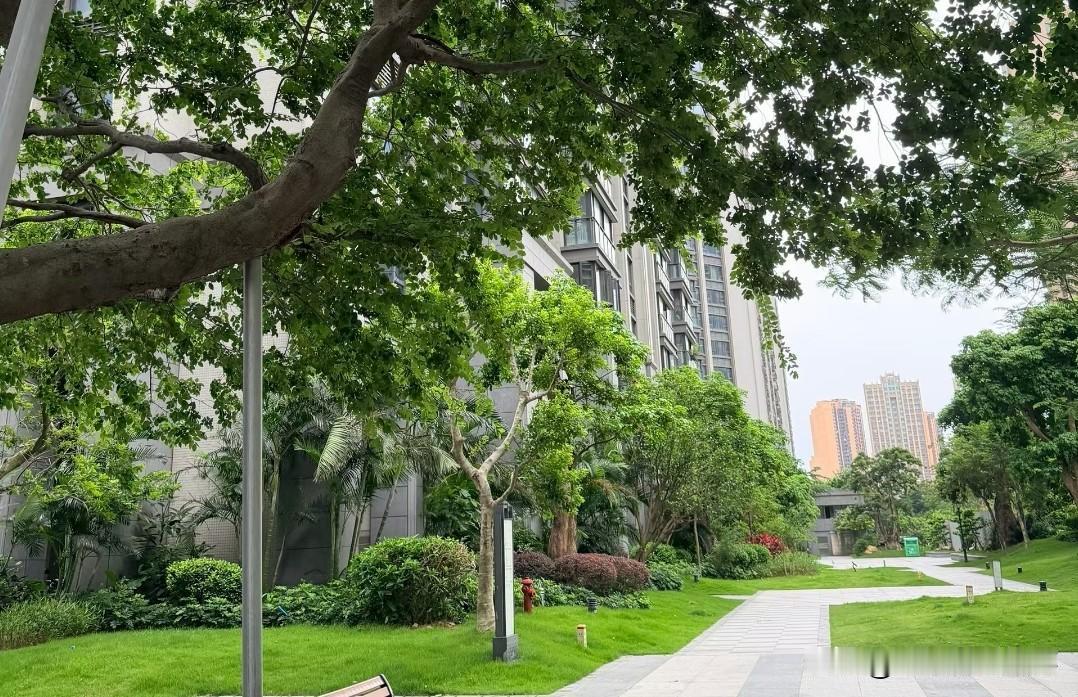 ❤️人生真正的成功，不在跟风（人路），更不在违心（鬼路），而在静心内观、听从良知