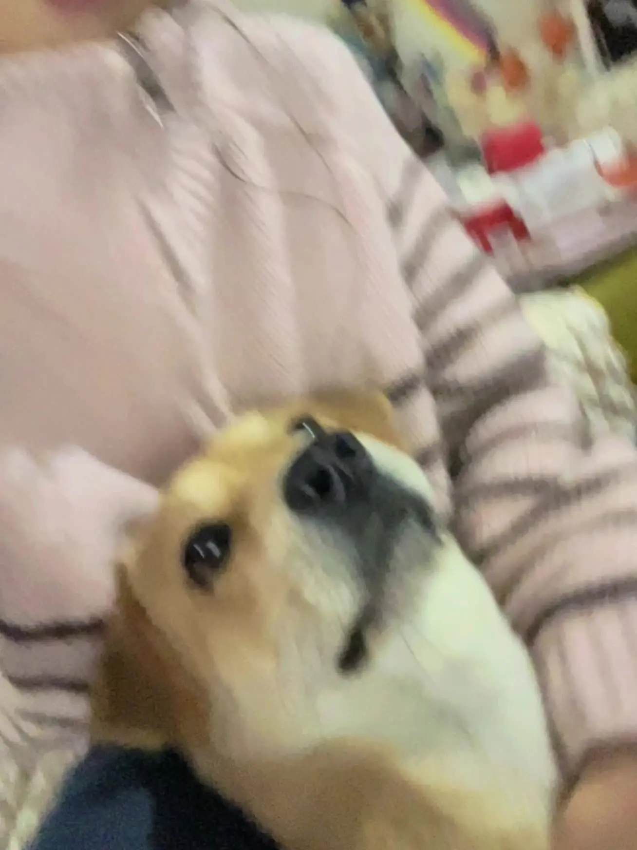 今日份强行自拍🤳